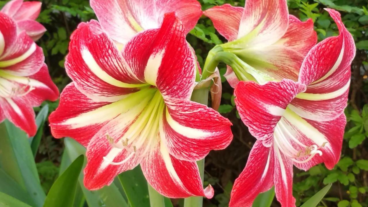 Aduepassidallafiera 볼로냐 외부 사진